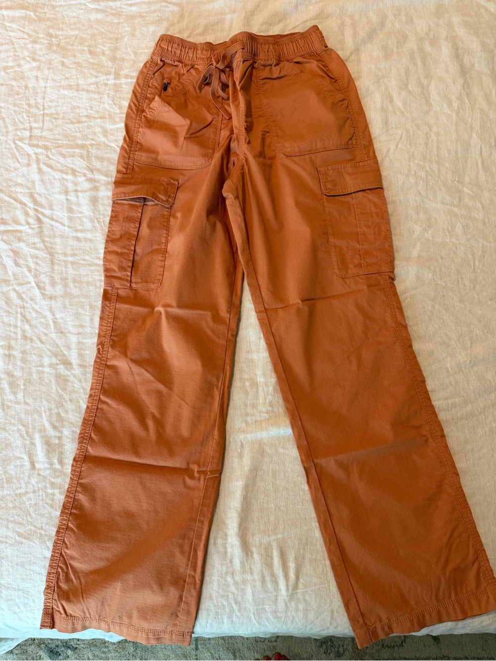 Title Nine Cargo Pants in Rust Orange